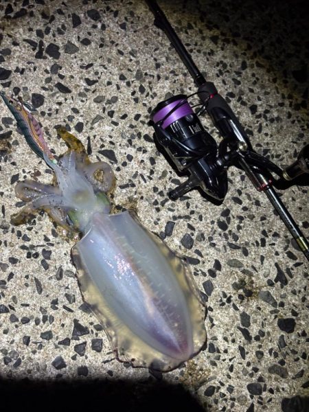 釣り人が多過ぎるエギング