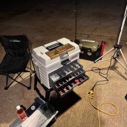 例年になく育ちの良いヒイカ!!