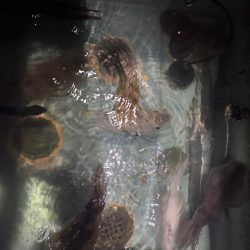 昼すぎから海上散歩