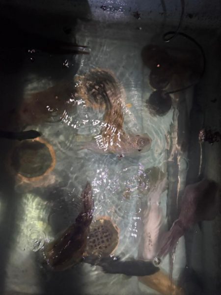 昼すぎから海上散歩