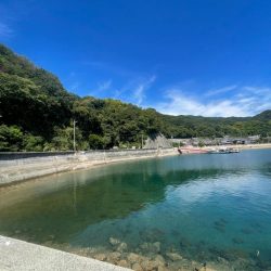 やっぱり小さい