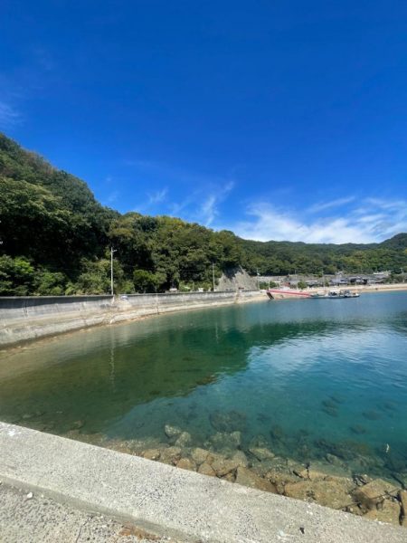 やっぱり小さい