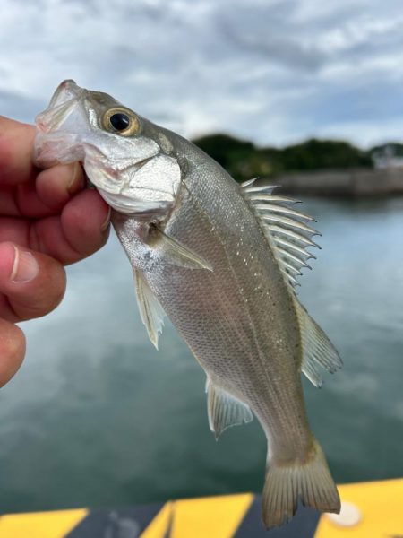 ショアジギング