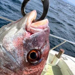 マダイ/ひとつテンヤ