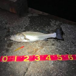 久しぶりにお会いできました