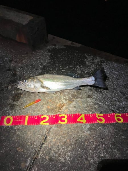 久しぶりにお会いできました