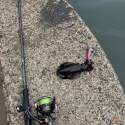 待ち時間にちょいエギング