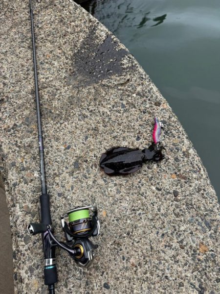 待ち時間にちょいエギング