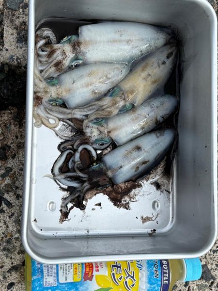 廃盤カラーロスト…