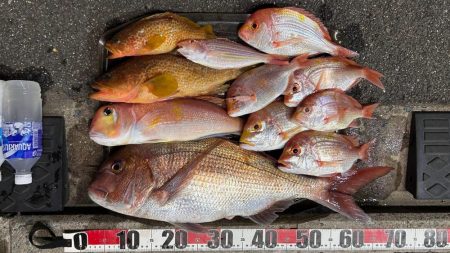 マイボートでアマダイ狙い!