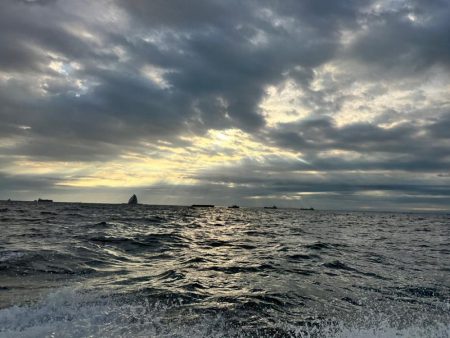 意外にも初のホウボウ