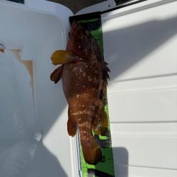 夏を感じつつ秋シーズン開幕！！！