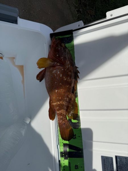 夏を感じつつ秋シーズン開幕！！！