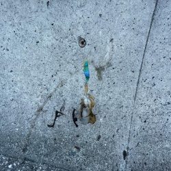 コロッケサイズも交じる！