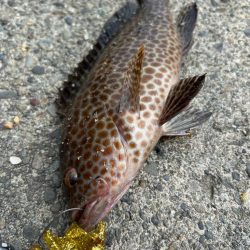 ショアジギング