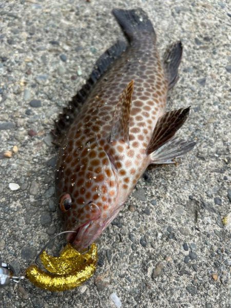 ショアジギング