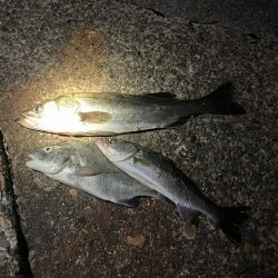 何が起きた!千葉港⭐︎⭐︎⭐︎