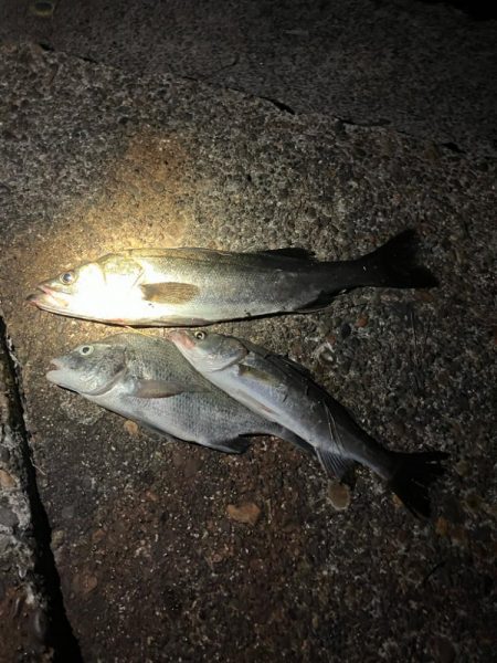 何が起きた！千葉港⭐︎&#x…