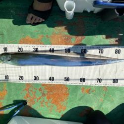 タチウオメーターオーバー