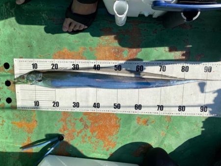 タチウオメーターオーバー