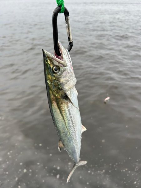 ショアジギング