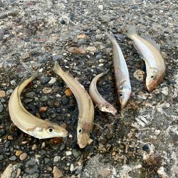 今季最後かな？極太キス♡