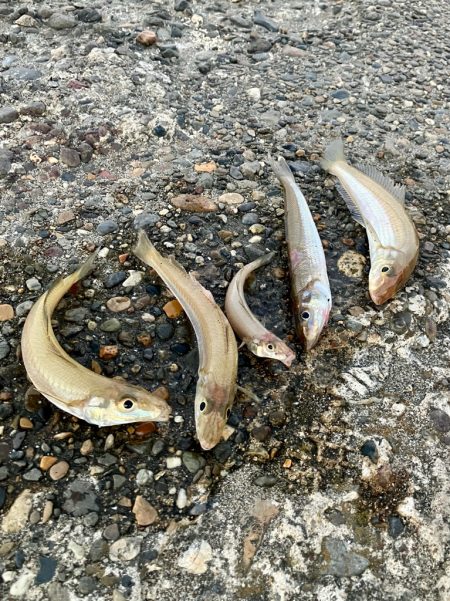 今季最後かな？極太キス♡