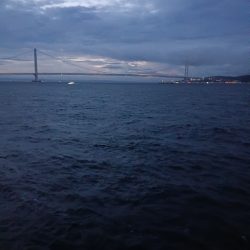 久しぶりのタチウオ