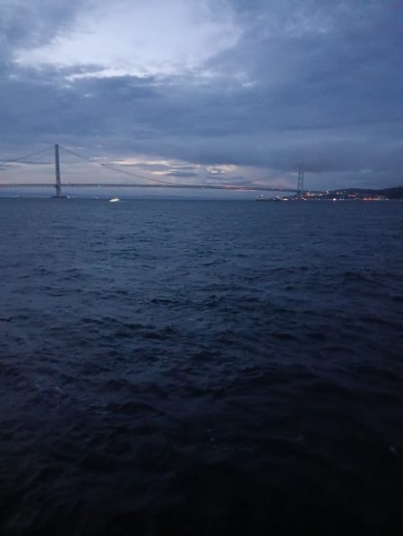 久しぶりのタチウオ