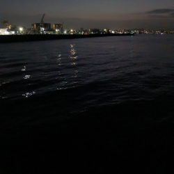 初めての釣り場で