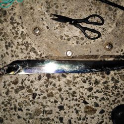 白灯台で刀狩り