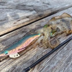 朝からエギング