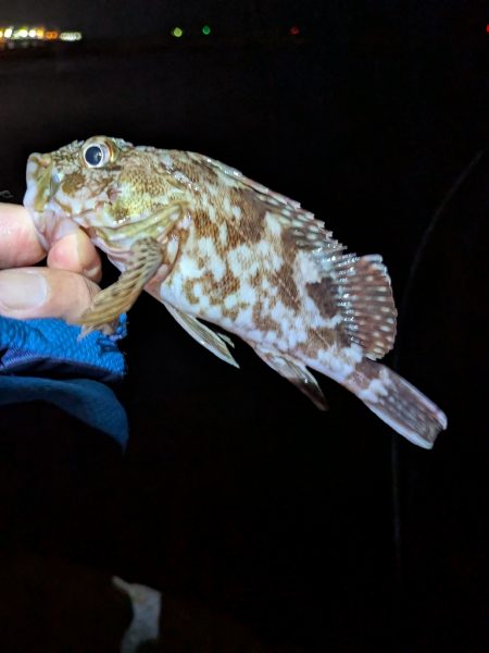 皆さん、何を。