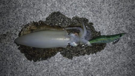 集中して下さい！