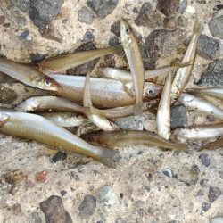 暗くなるのが早くなりました