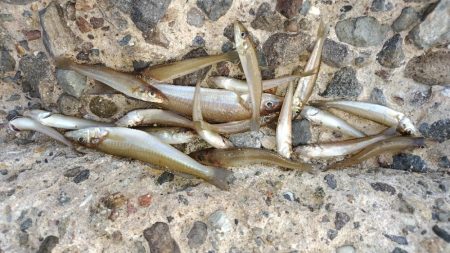 暗くなるのが早くなりました