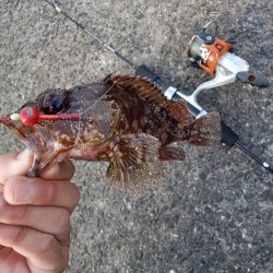 暮れる前にひと投げ