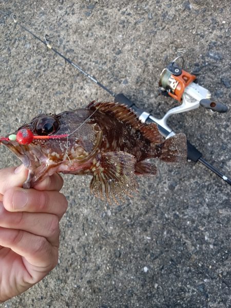 暮れる前にひと投げ