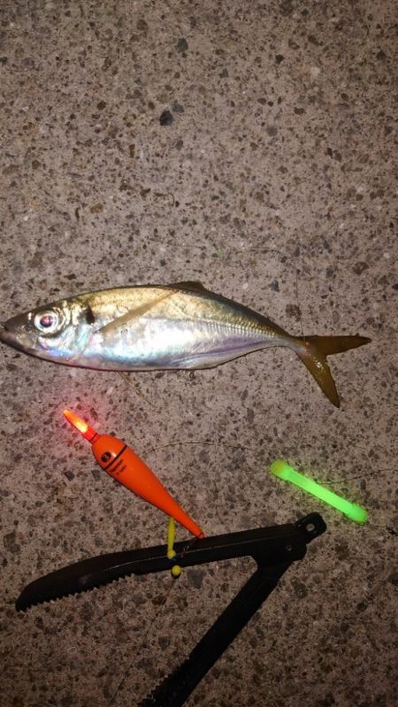 電気ウキ釣り 13