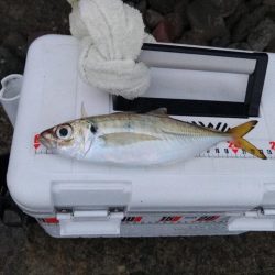 フロートゲーム~