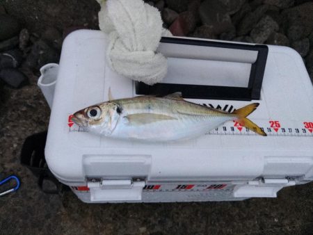 フロートゲーム～