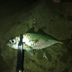 フロートゲーム～