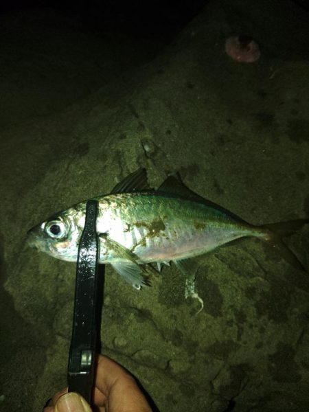 フロートゲーム～