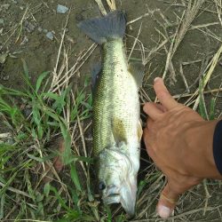 シャッドテールで1匹