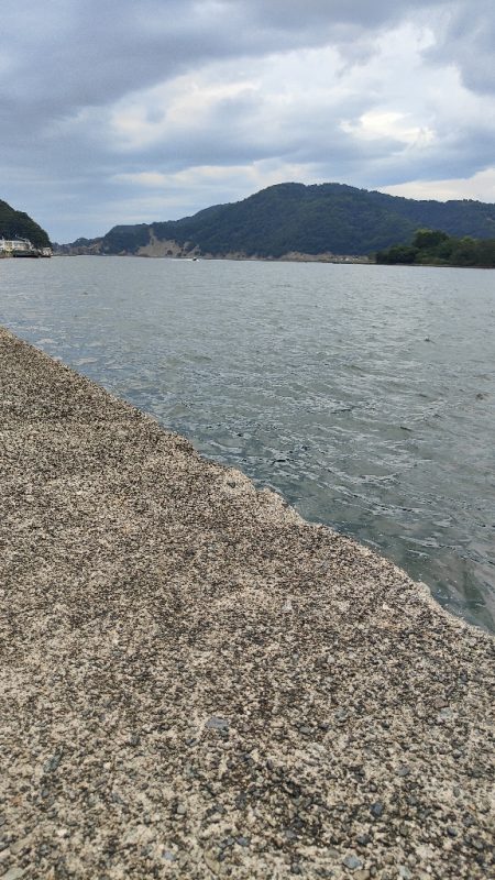 久々にシーバスねらい