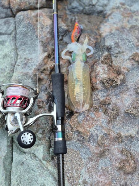 何年ぶりやろかなー　エギング