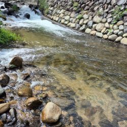 台風の恩恵は無かったです