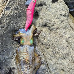 食べるだけは確保