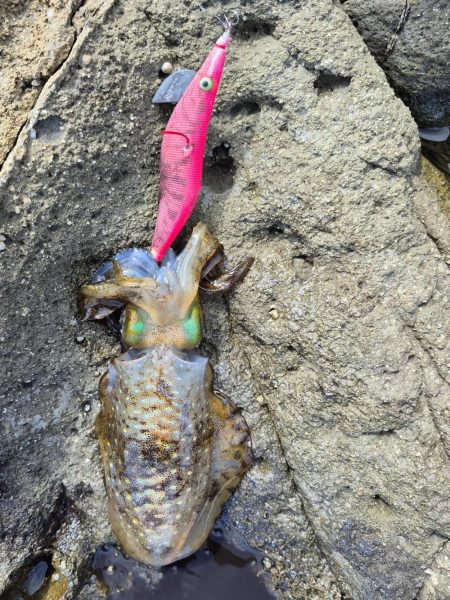 食べるだけは確保