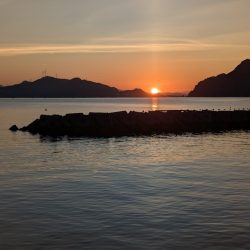 台風後でも濃いのは濁りだけ